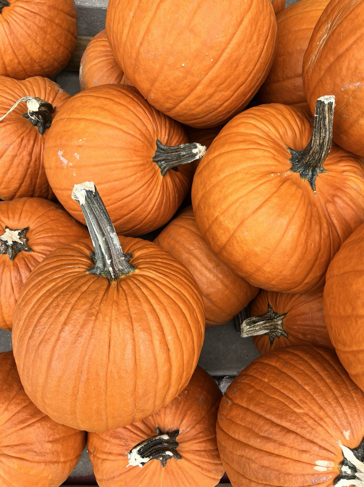 The Great Big Pumpkin Facial