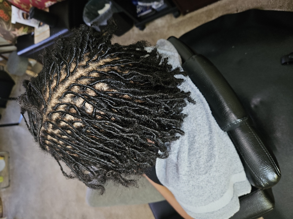 Micro Starter Locs at NurishinSacredKnotts in Charlotte, NC