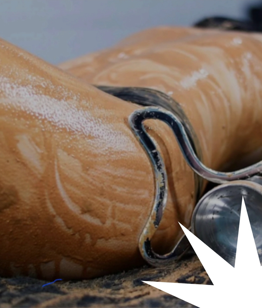 Ice Sculpting Therapy & Detox/