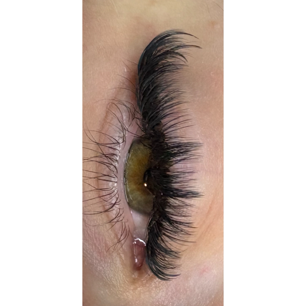 Light Volume Fill at Diamond Lash in Bothell, WA