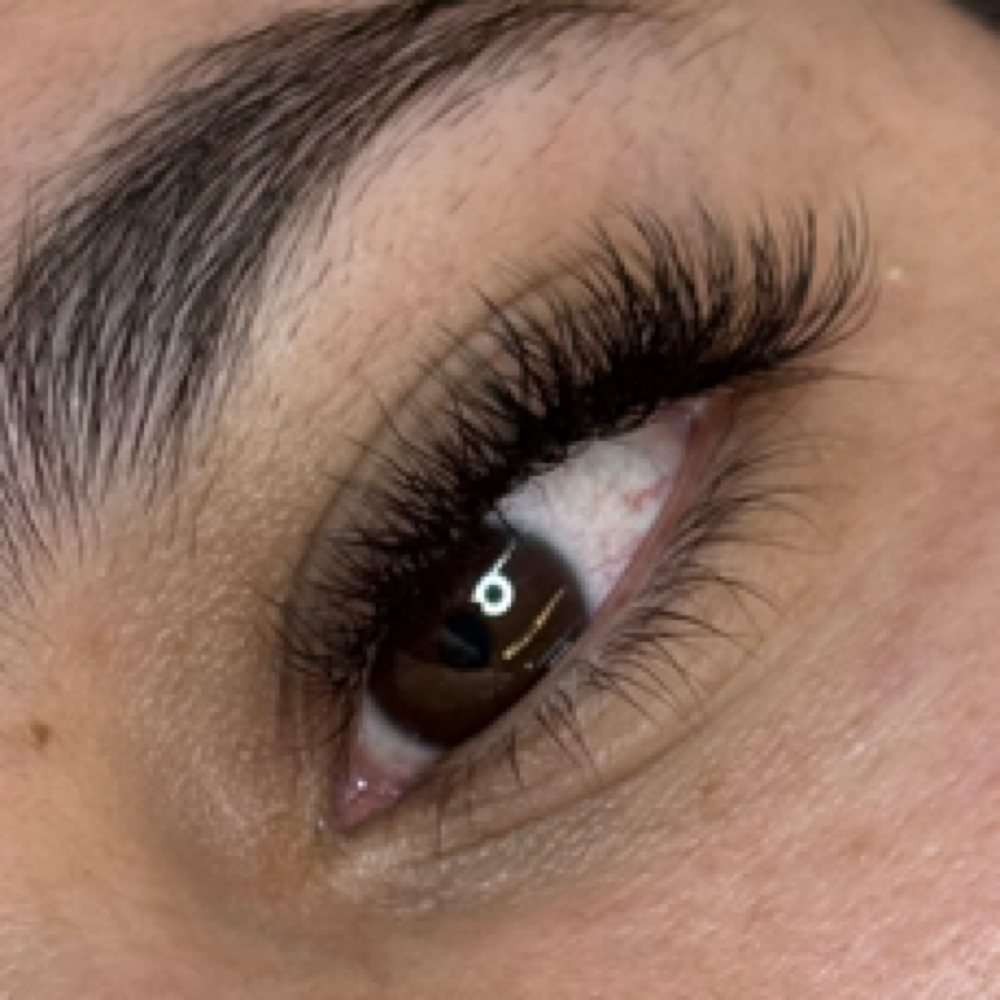 3D Volume Lash Extentions at Susie Carranza Brows & Beauty in Sherman, TX
