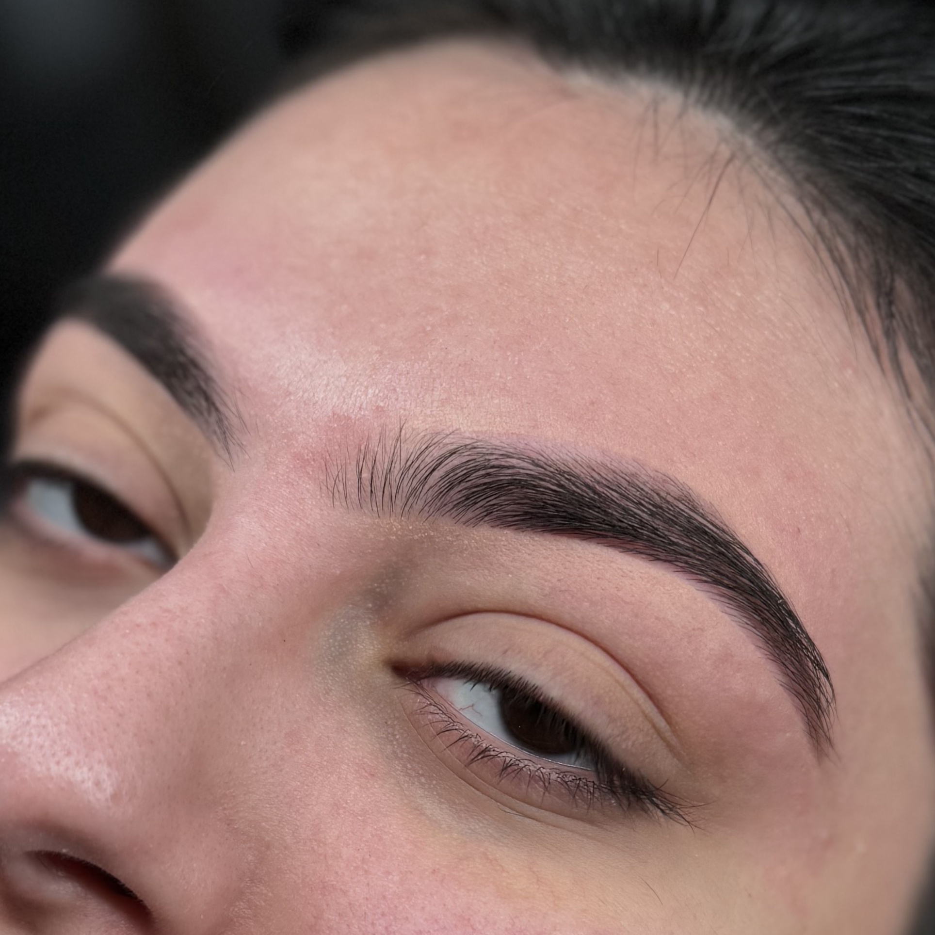 VIP Appt | Brows at Very Aesthetic Skin + Brows in Franklin, TN