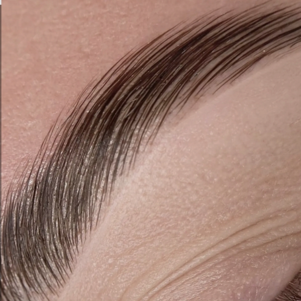 Brow Lami +Tint+ Wax at Kelli Chen BLONDE BROW Specialist Richmond Ky in Richmond, KY