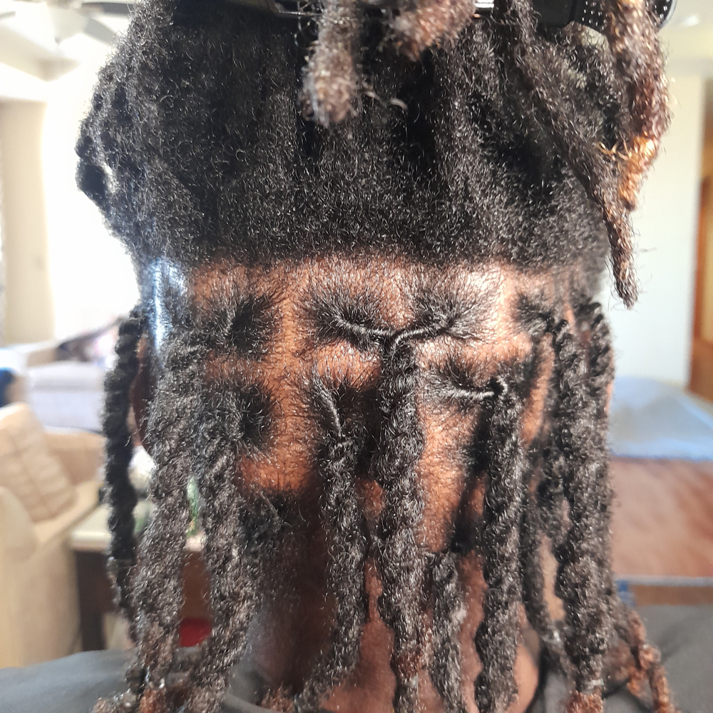 Retwist ( Traditional Locs Maint.)