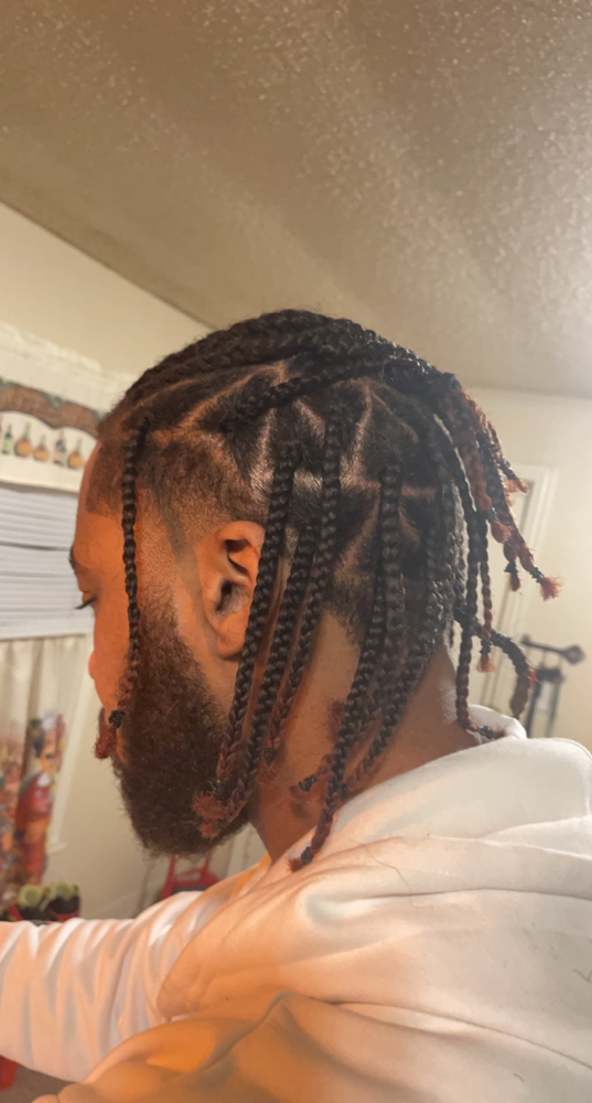 Plaits