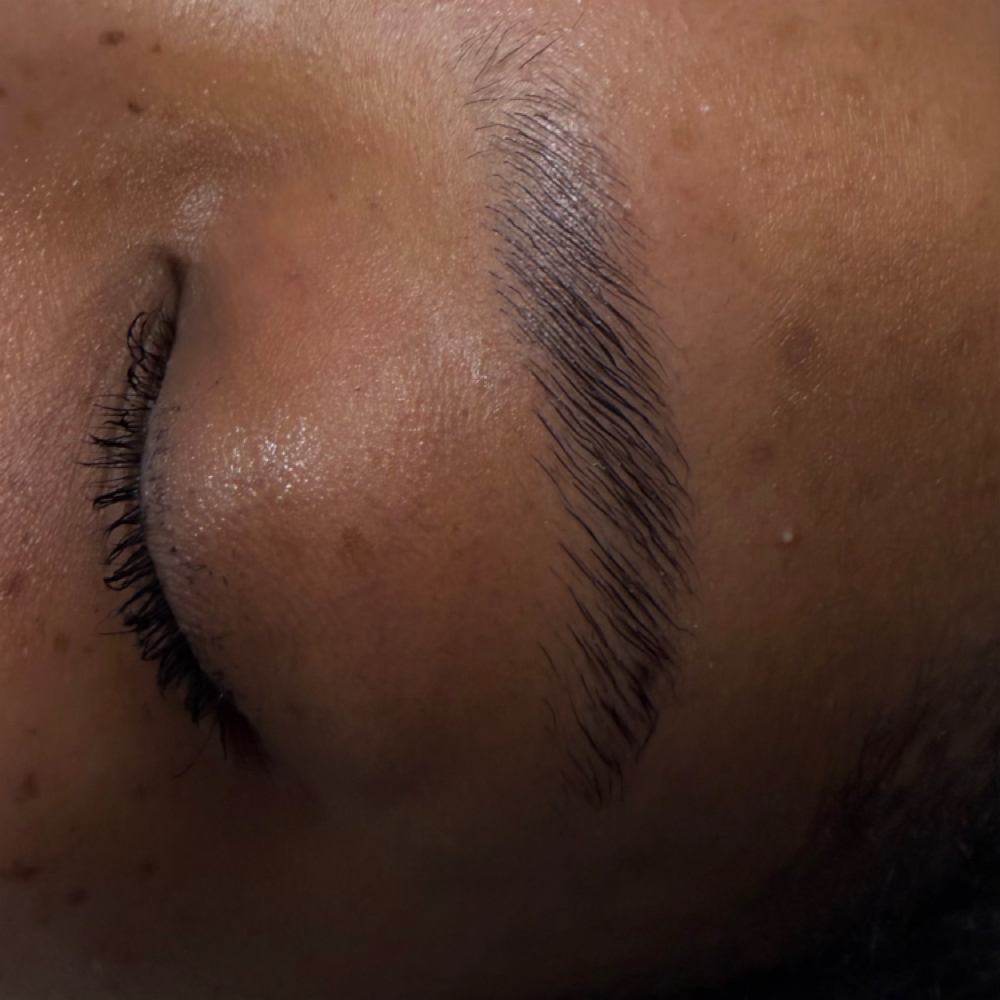 Brow lamination at Cleanse and Clarify with Carly in Florence, AL