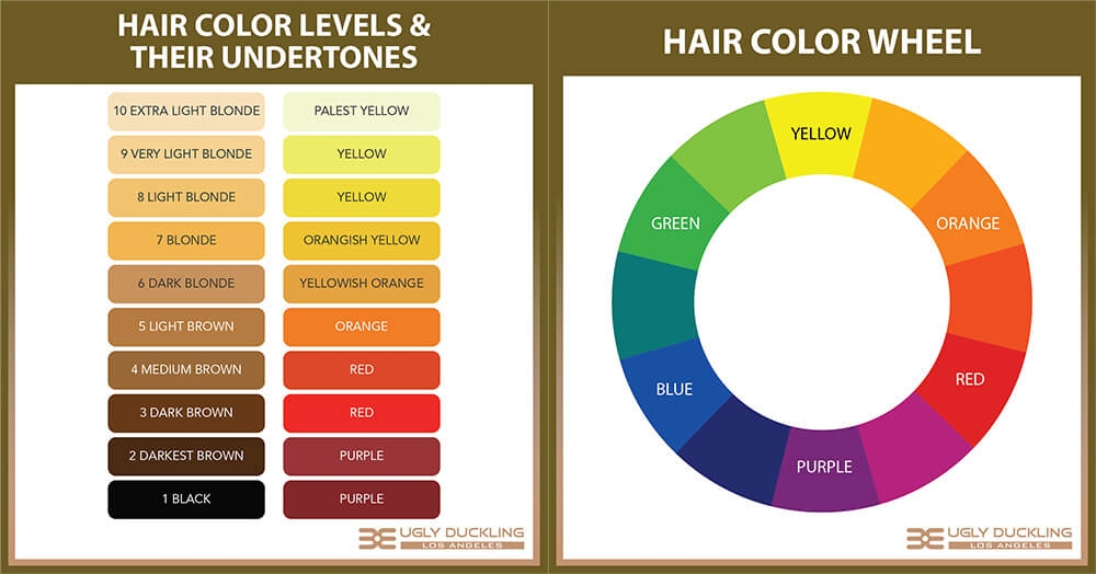 Color Correction