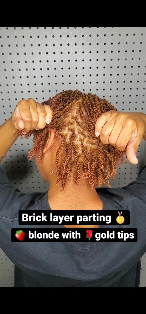 Loc Grooming (Interlocking)