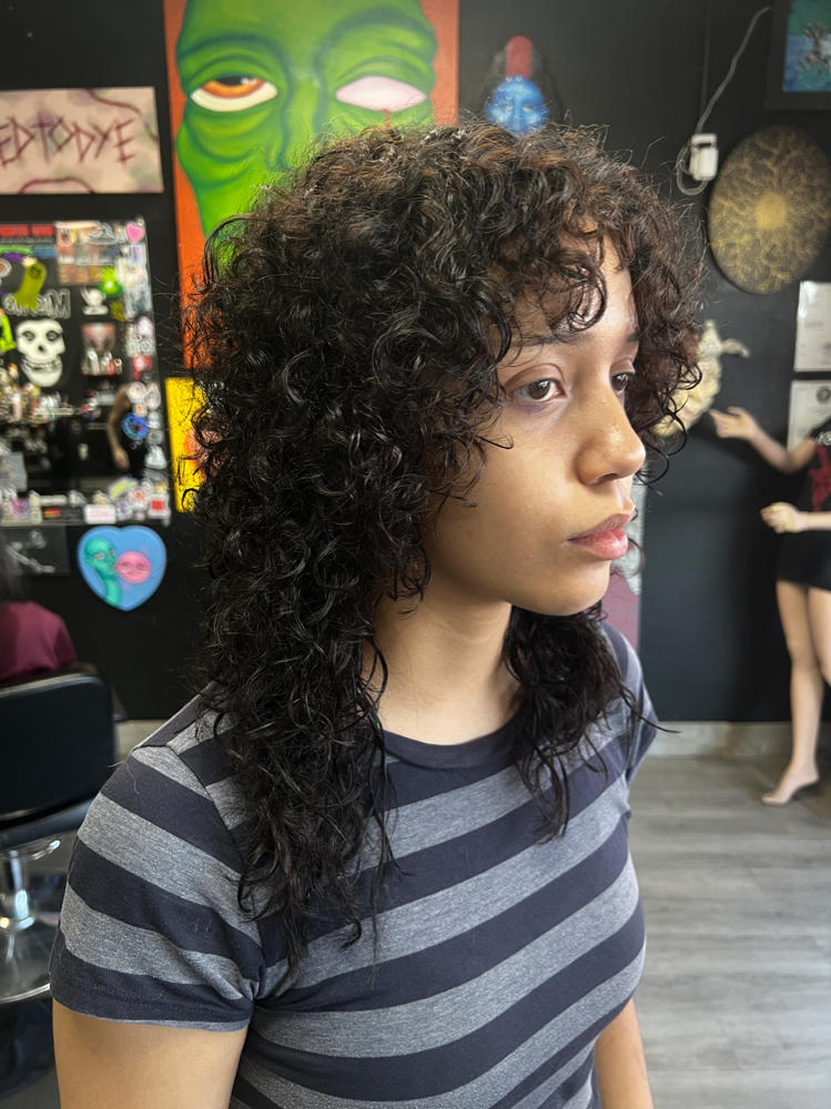 Curly Cut With Diffuse