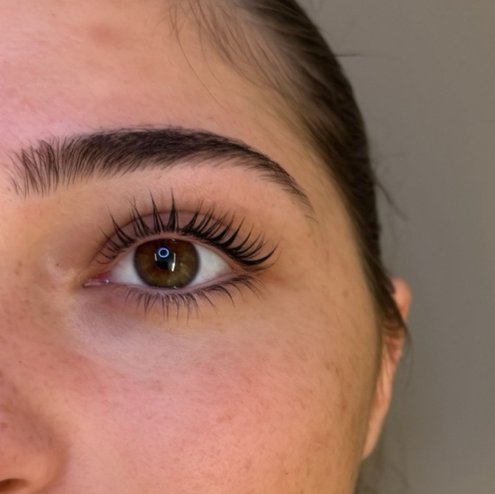 Korean Lash Lift at The Divine Eye in Center Valley, PA