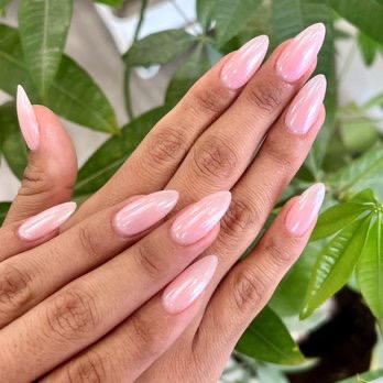 Hard Gel Set