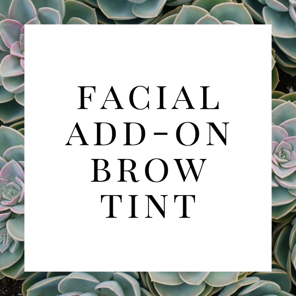 Facial Add On Brow Tint