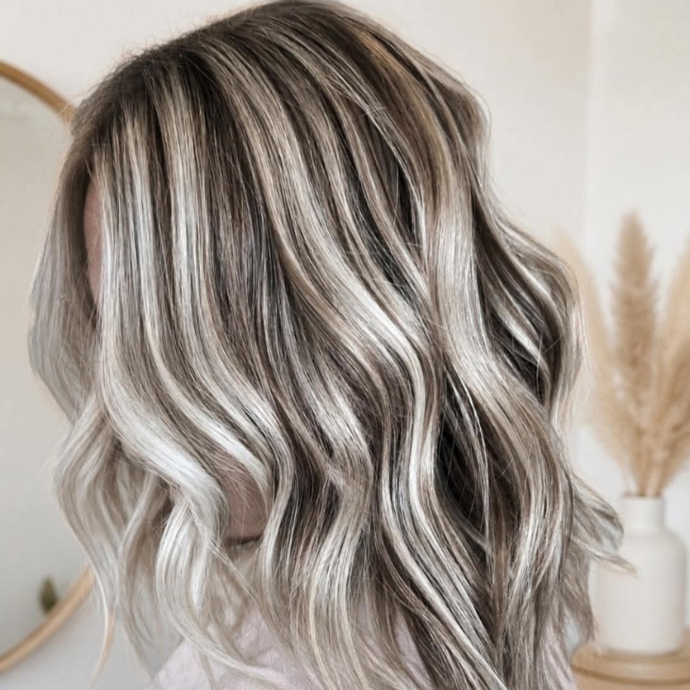 Partial Lowlights + Toner + Haircut + Blow Out at Dreamcuts and Styles Hair Salon in Fulshear, TX