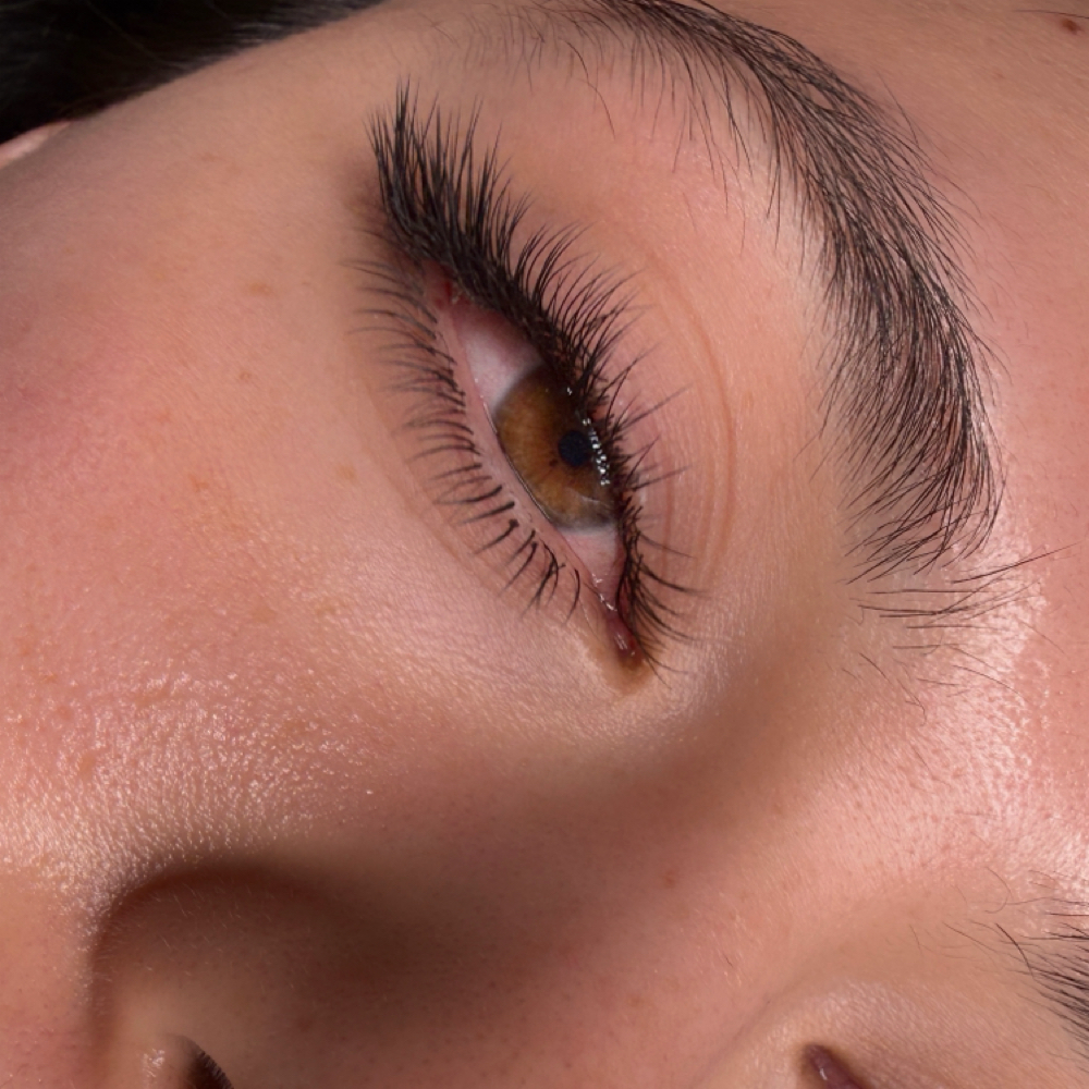 Classic Full Set at SH Lash Beauty in Beverly Hills, CA