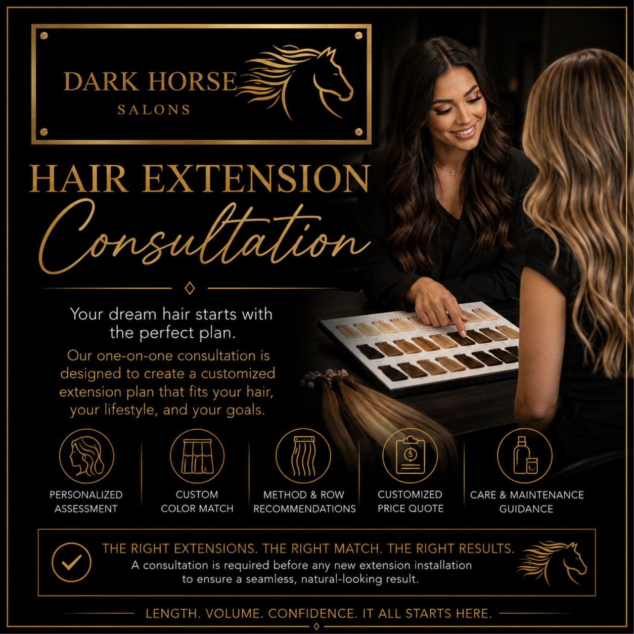 Extensions Consult at Dark Horse Salons in Boulder, CO