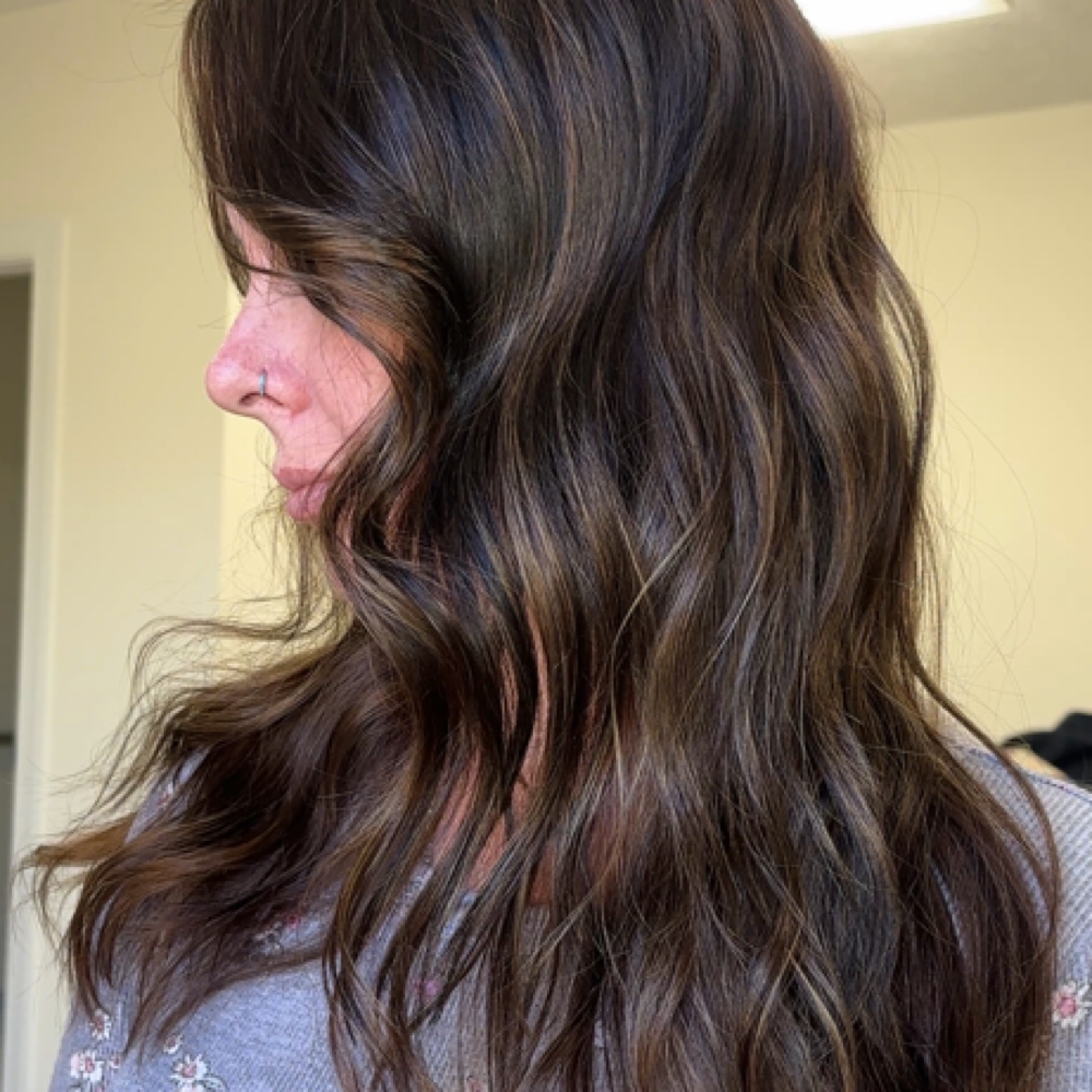 🤎 I Want More Dimension at The Village Salon in Powhatan, VA