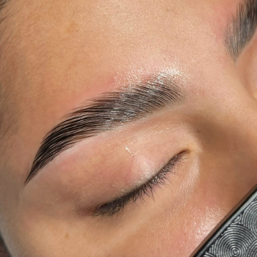 Brow Lamination at MNB SALONS LLC in San Antonio, TX