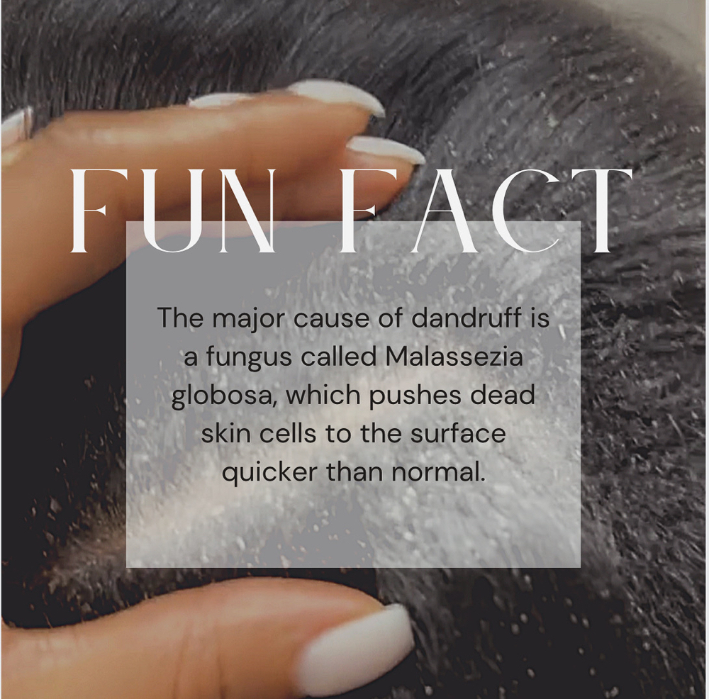 Scalp Detox Treatment