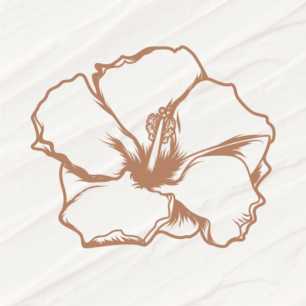 Kiwani Express Dermaplane ™ at Kiwani Beauty in Spokane, WA