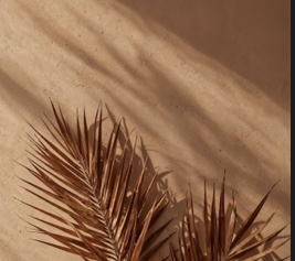 BOGO Waxing *New Clients Only*