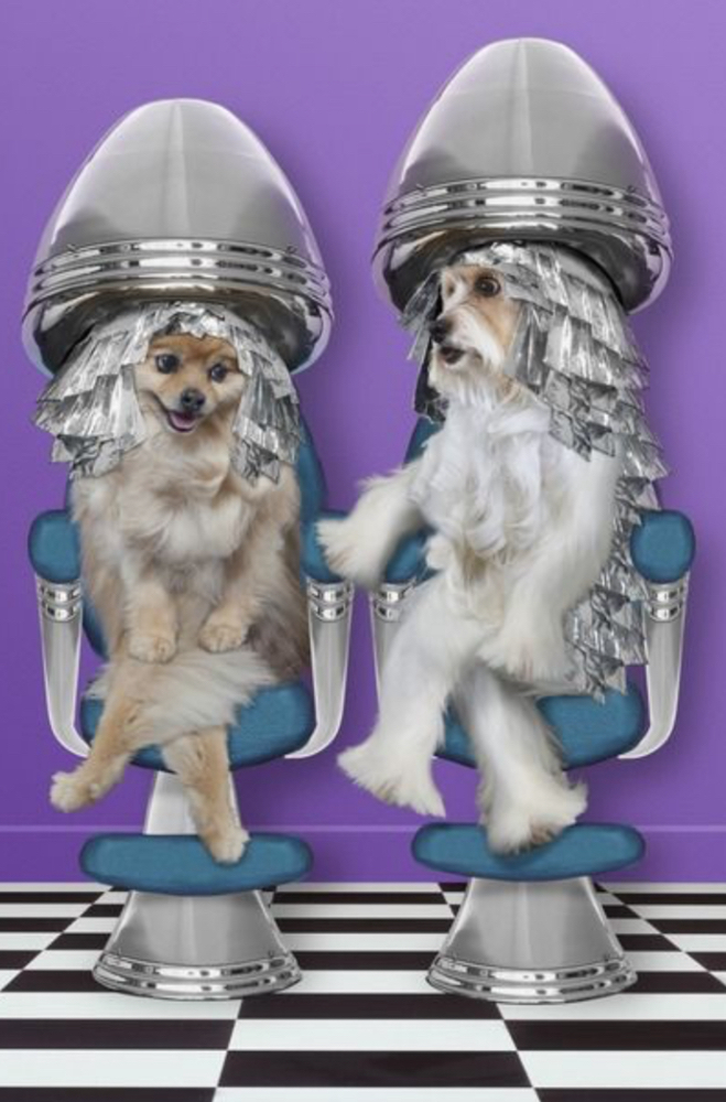 Partial Perm at Highlights in Daytona Beach, FL