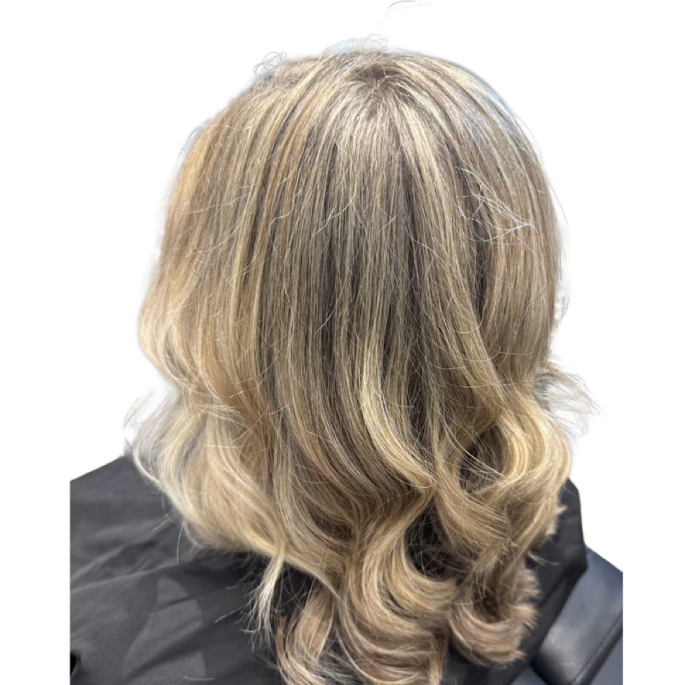 Dry Cut | Maintenance Trim at The Mane Chair By Jenna Rae in Gainesville, FL