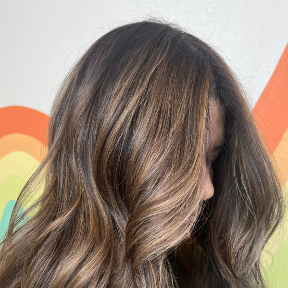 Root Touch Up at Gabriela Rude in Roseville, CA