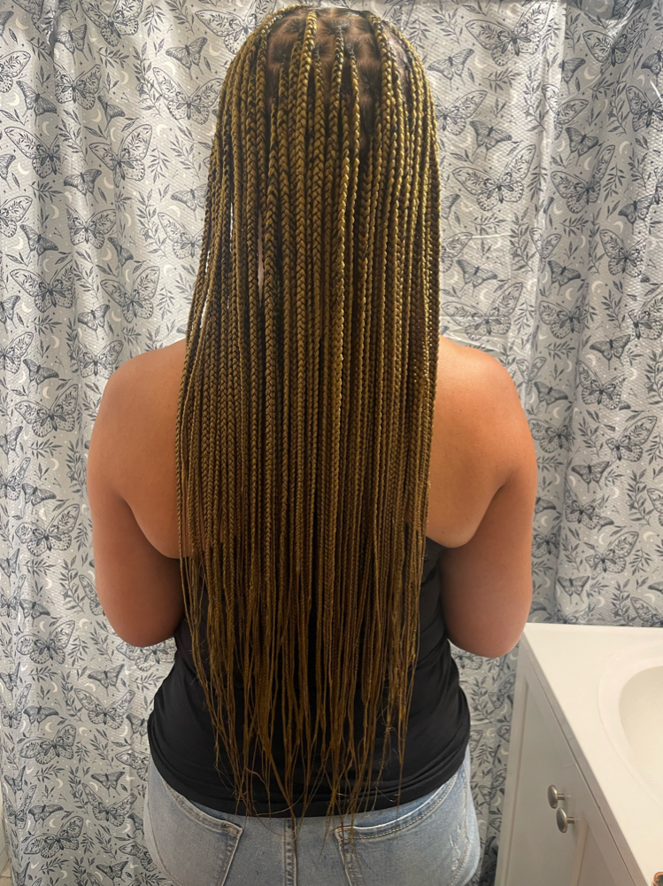 Small Knotless Braids(Waist Length)
