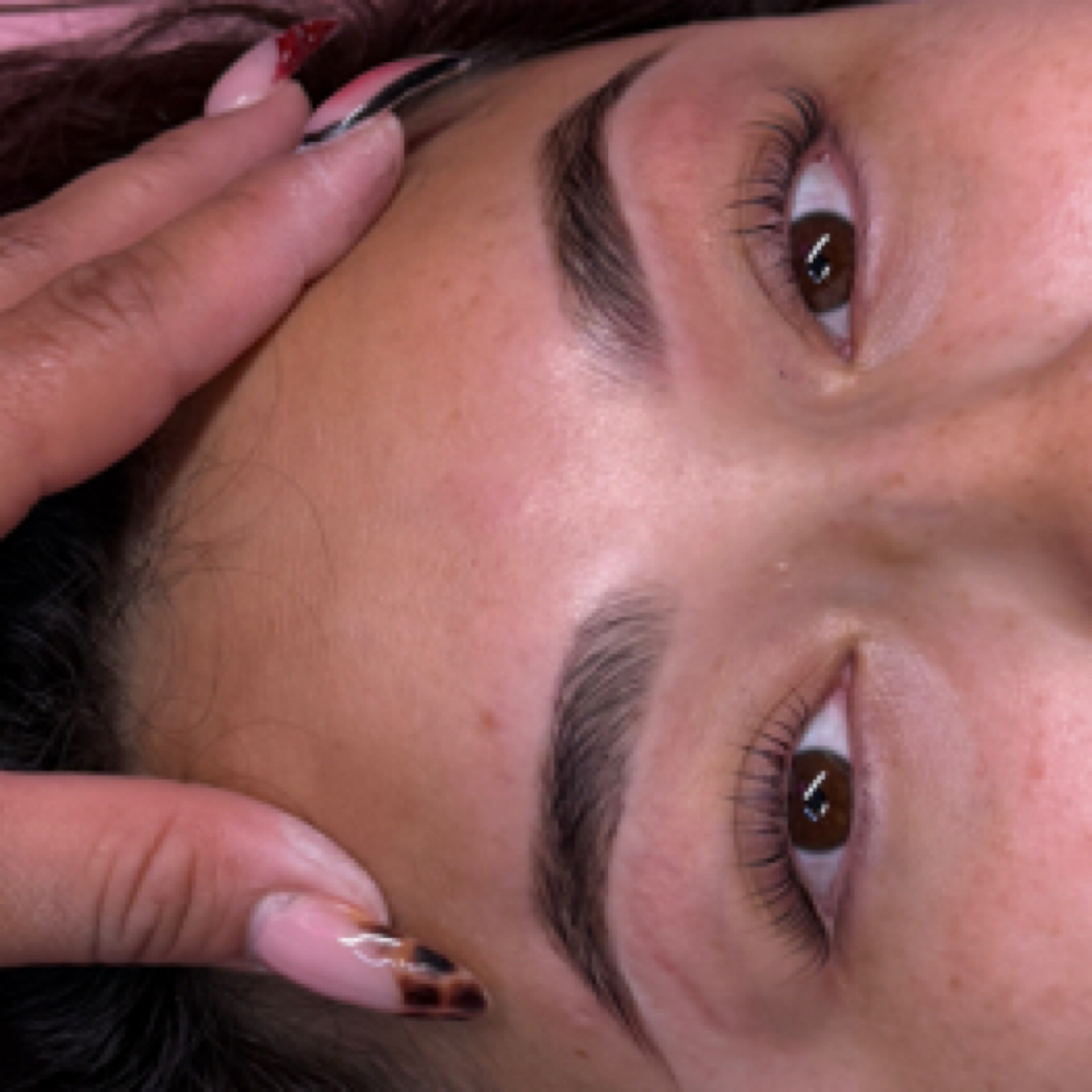 Hybrid Brows + Korean Lash Lift at Rose Beauty Bar | LLC in Lewisville, TX