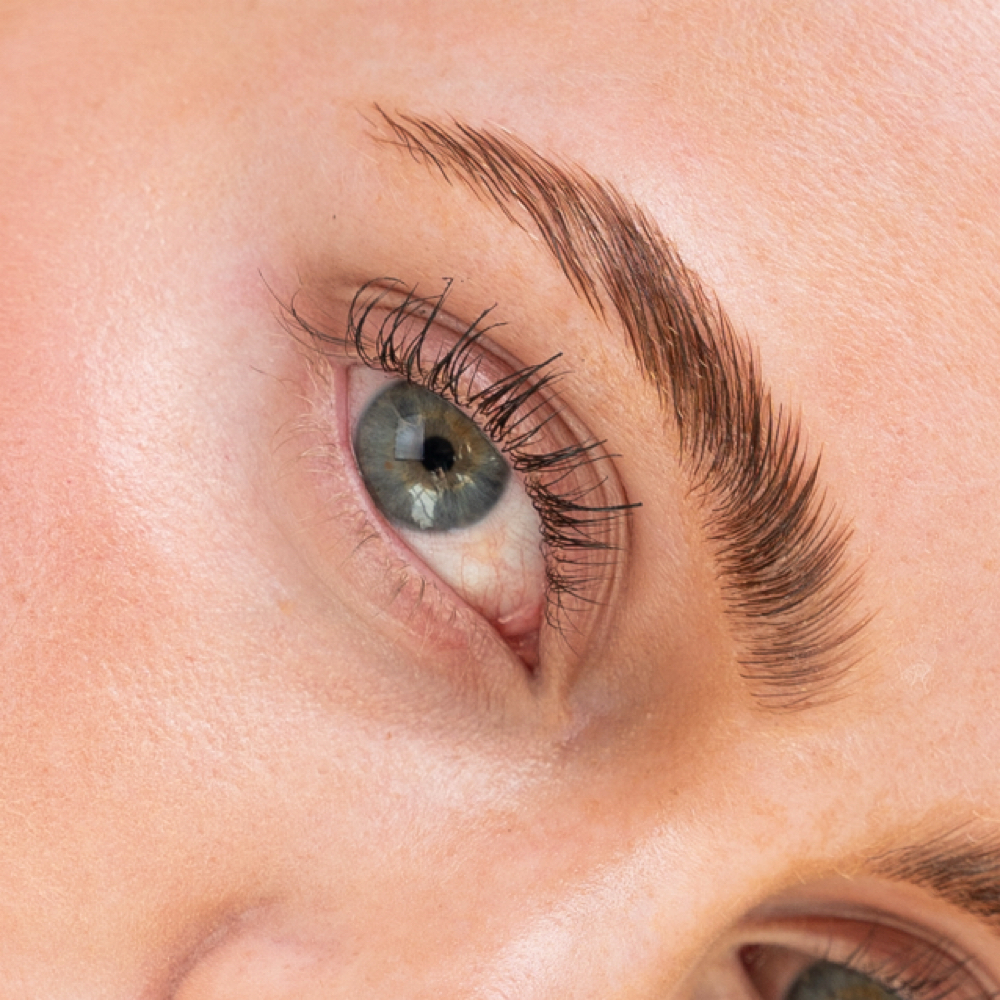 Brow & Korean Lash Transformation at Golden Glow Beauty in Pleasant Grove, UT