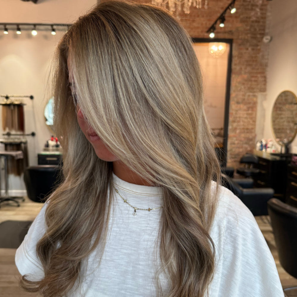 Partial Highlight & Blowout at BLOOM Beauty & Brows in Geneva, IL