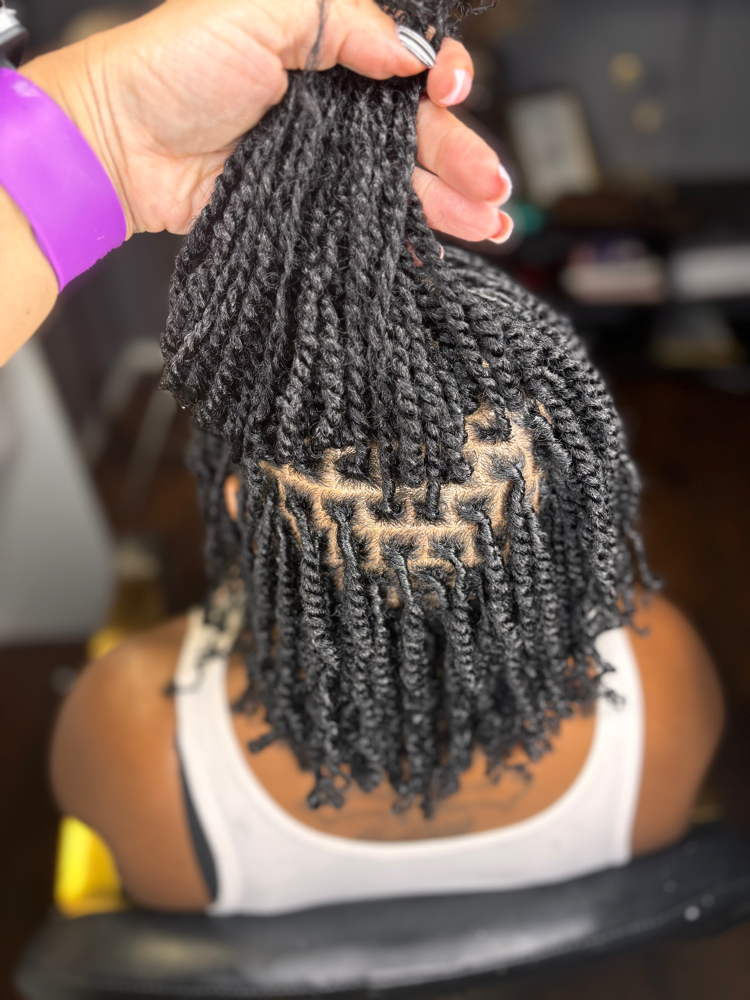 Starter Locs