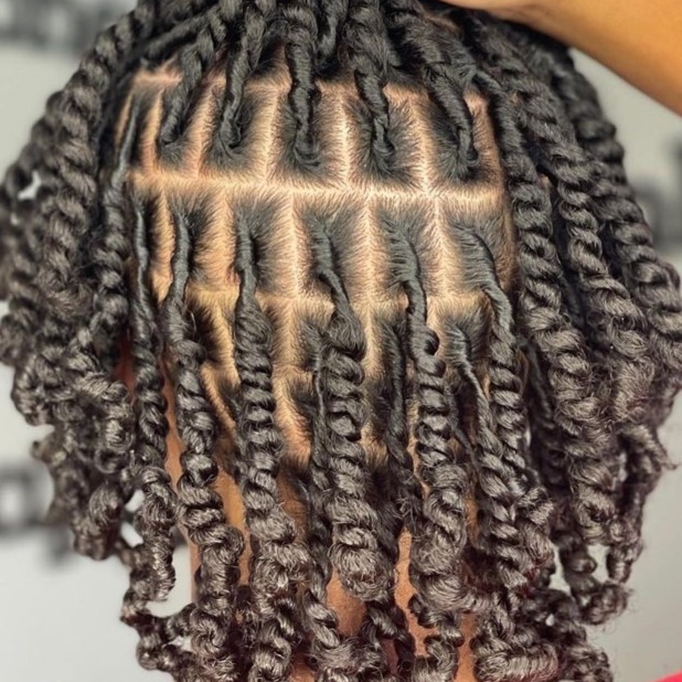 Medium/Large Starter Locs at Naturally Crisp in Greensboro, NC