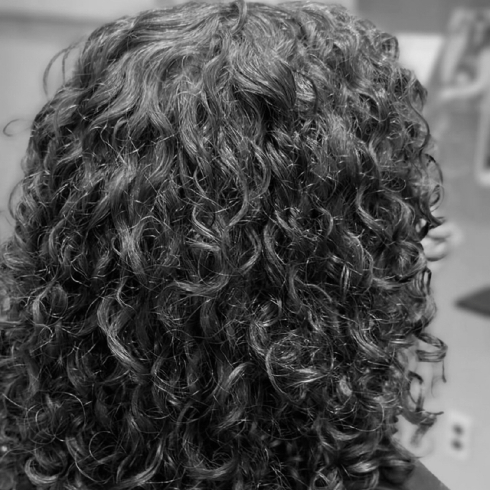 Womens Curly Haircut at Salon 66 in Murphys, CA