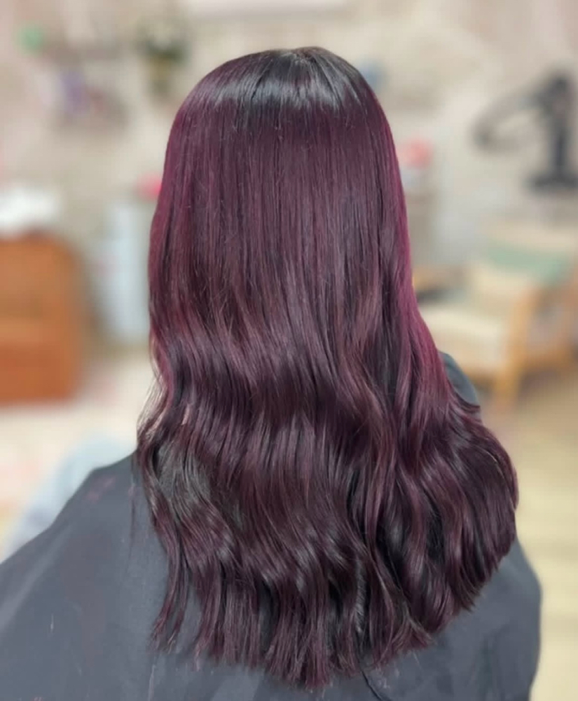 All Over Color & Haircut