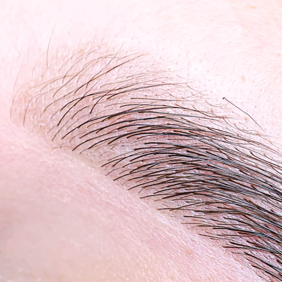 Hybrid Brow Tint/Stain