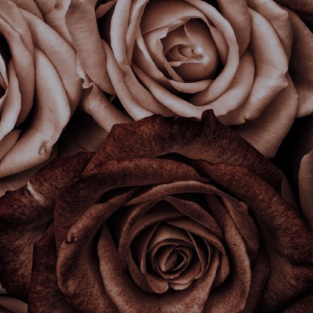 Global Color at Alter + Blend in Grand Blanc, MI