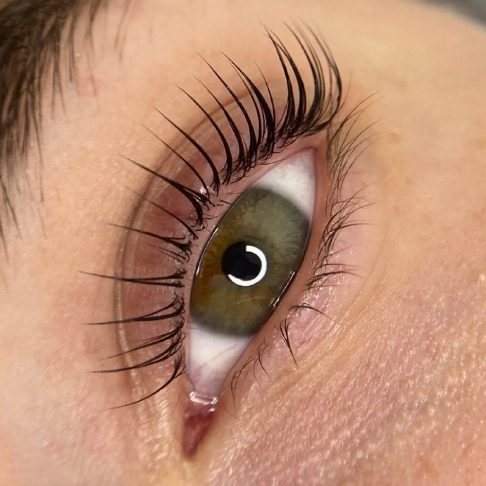 Korean Lash Lift + Tint at The Beauty Loft in Sunnyside, WA