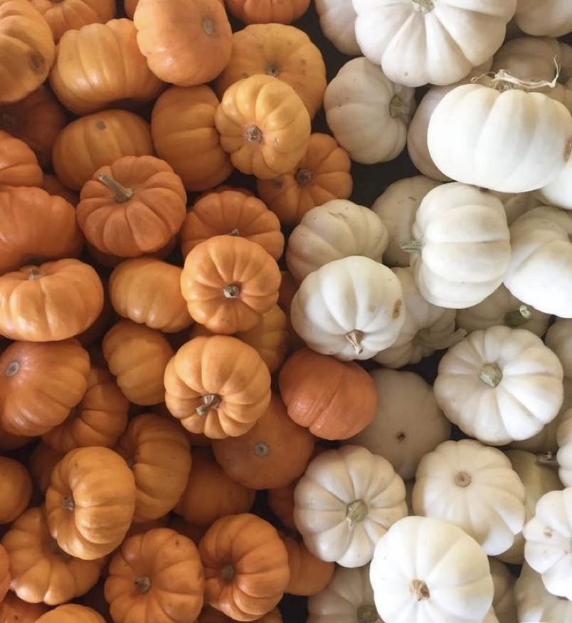 Pumpkin Marshmallow Whip Facial