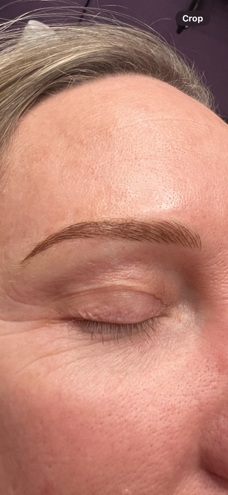 Eyebrow Microblading Touchup