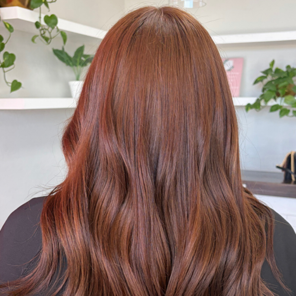 Signature Custom Color at BEHAUS in Avondale, AZ