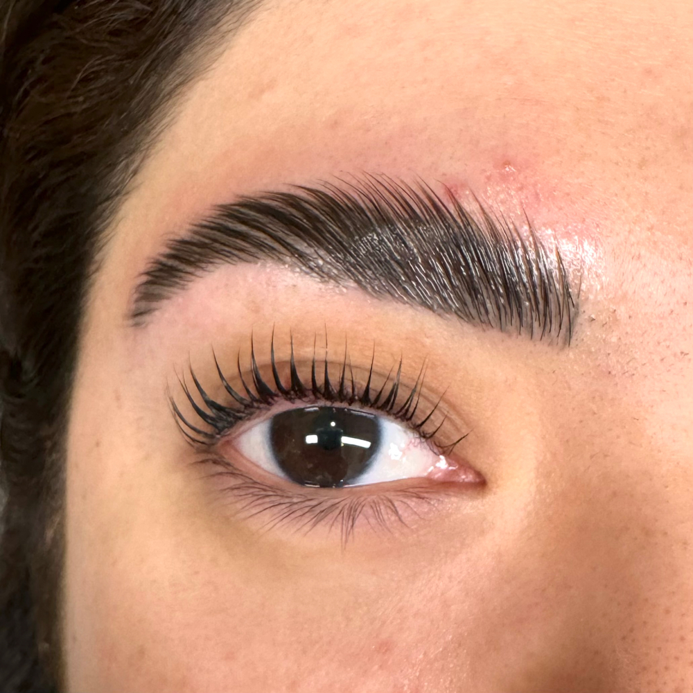 Brows Lamination