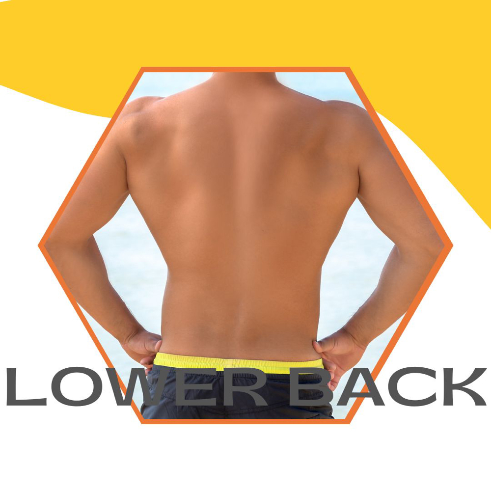 Lower Back