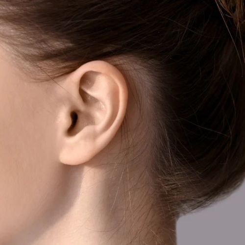 Ears