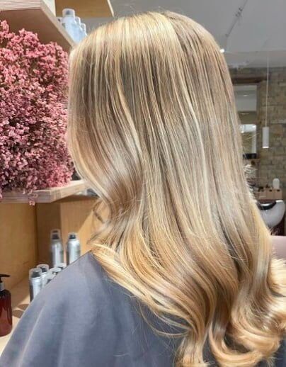 Regular Highlights