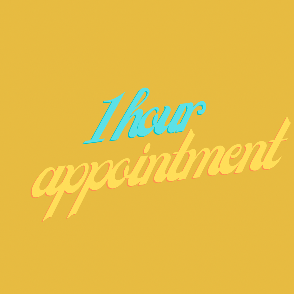 1 Hour Appointment