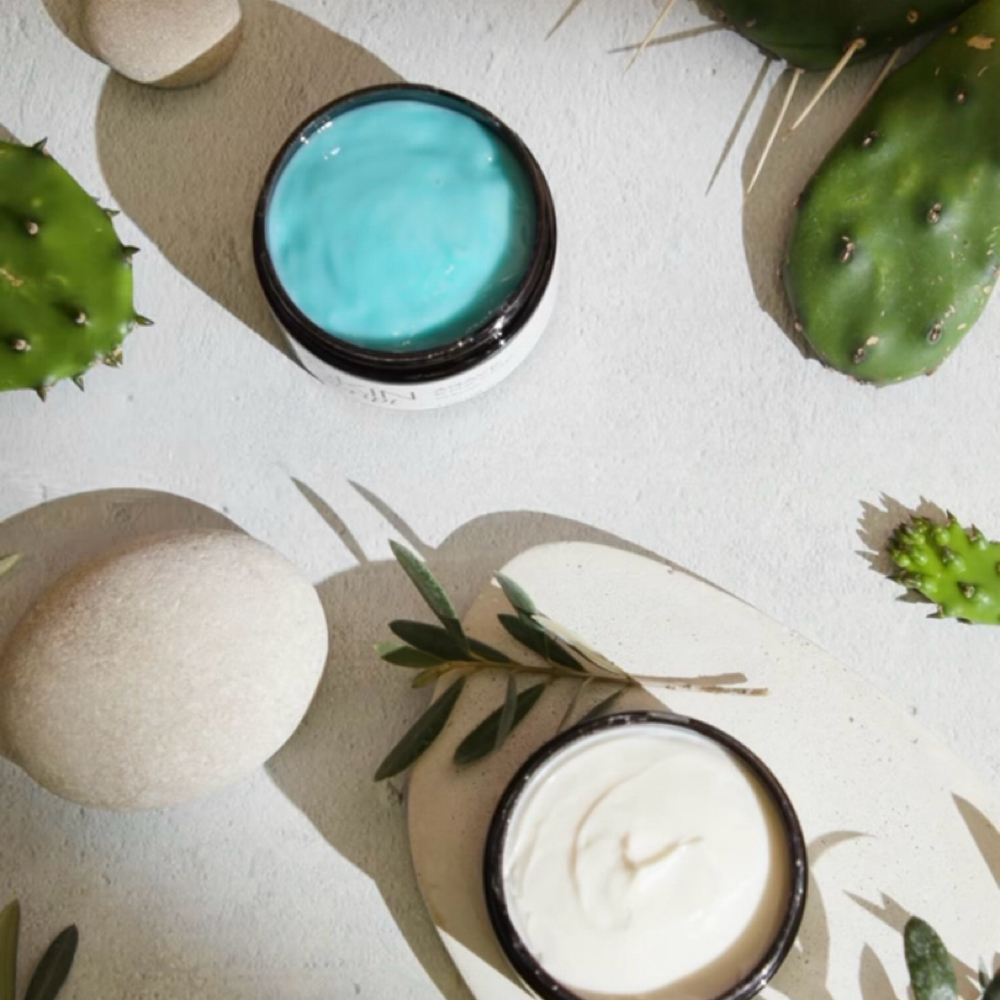 Agave Renewal Facial