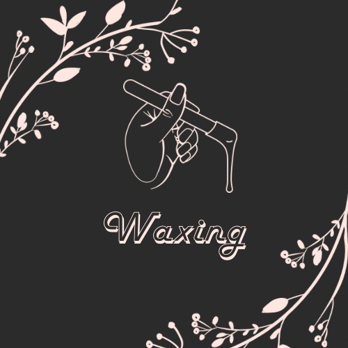 Brow & Lip Wax at Beauty Bloom in San Antonio, TX