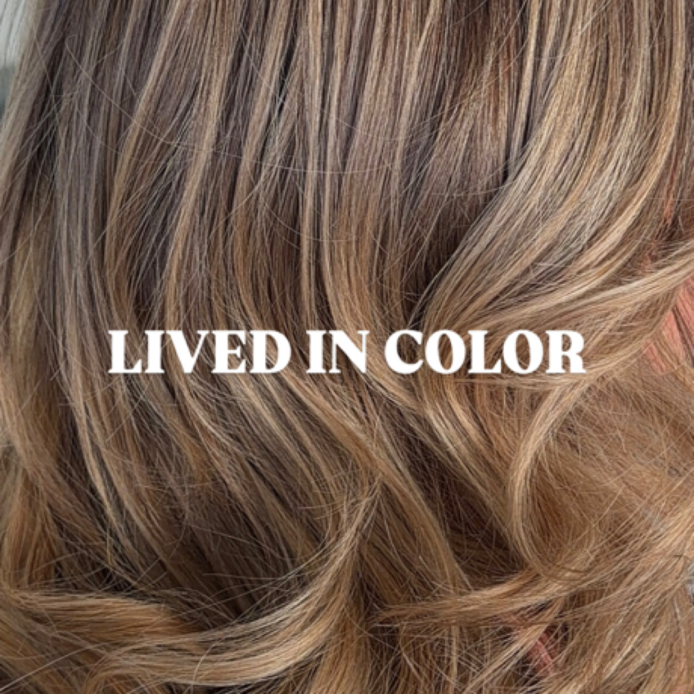 Lived In Color