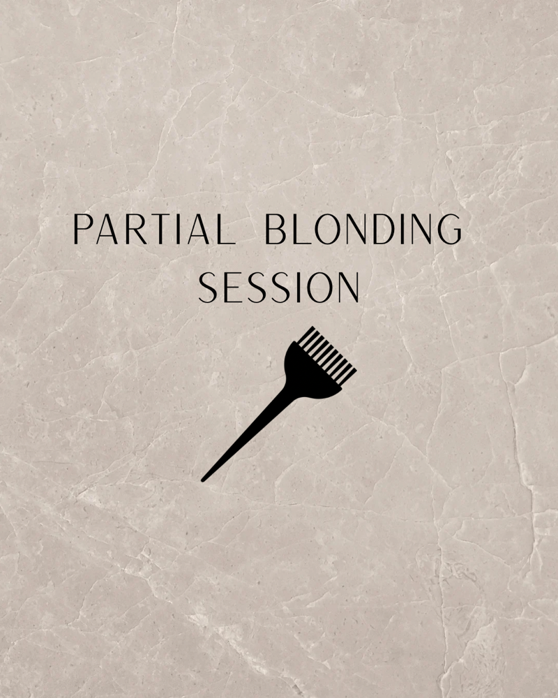 Partial Blonding Session at Hair By Cynthia in Cassville, MO